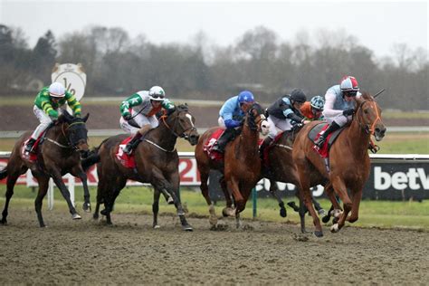 Lingfield Racecourse, Results & Racecards .